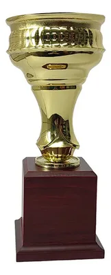 Copa Plástica Con Base De Madera