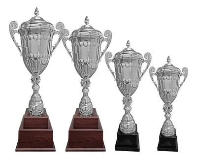 Copa Plástica Con Base Madera